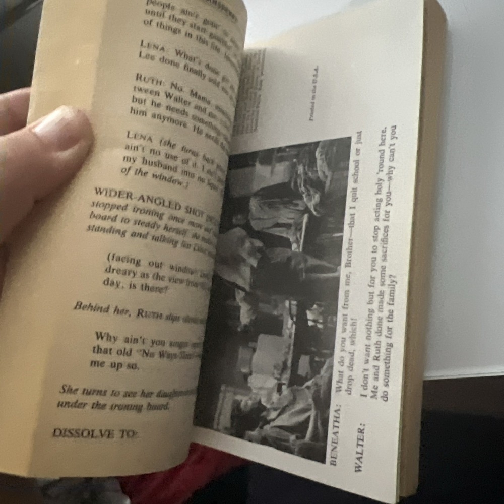 A Raisin in the Sun: The Unfilmed Original‎ Screenplay (1994, Paperback) - Picture 3 of 5